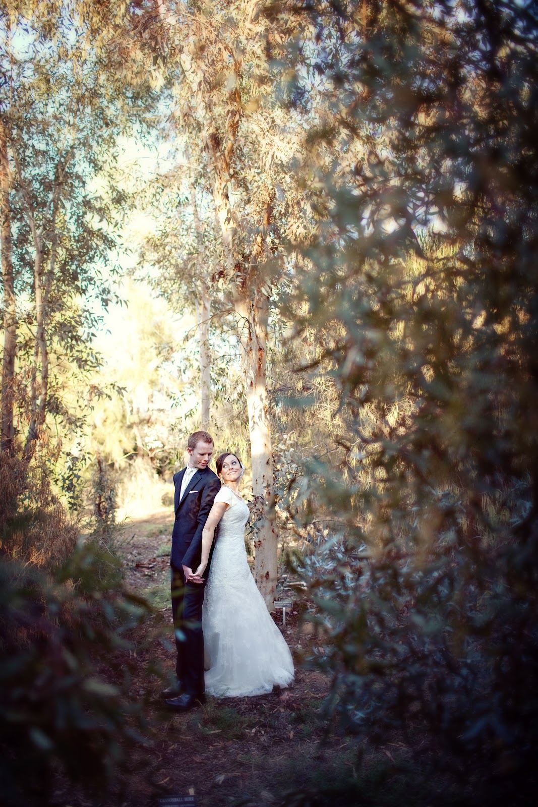 Wedding photos with a couple back to back in a forrest. 
