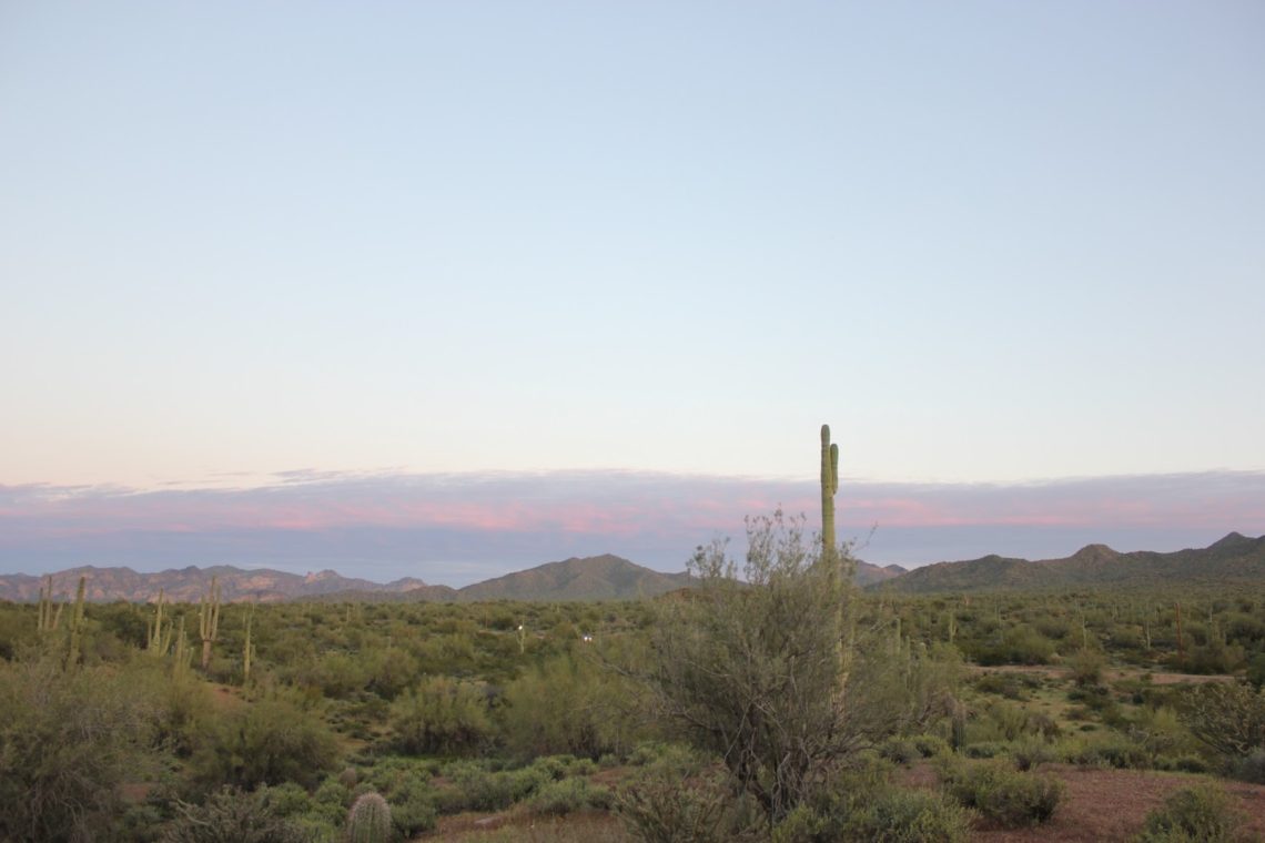 Sunset Picnic in Arizona