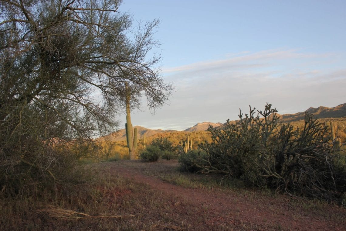 Romantic Sunset AZ