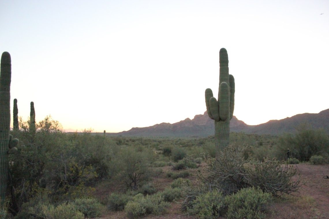 Arizona Sunset Views