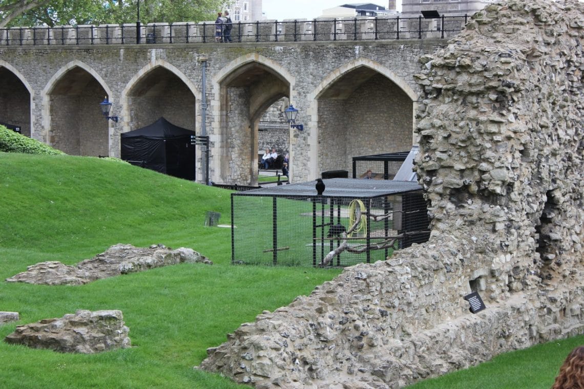 Touring The London Tower. 