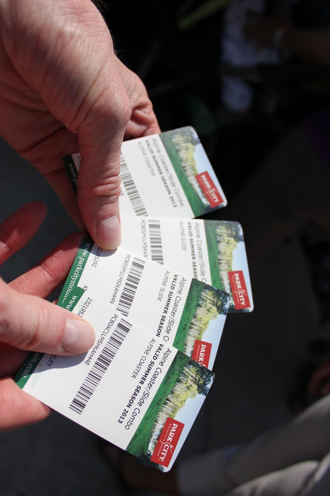 Tickets to ride the Alpine Coaster. 