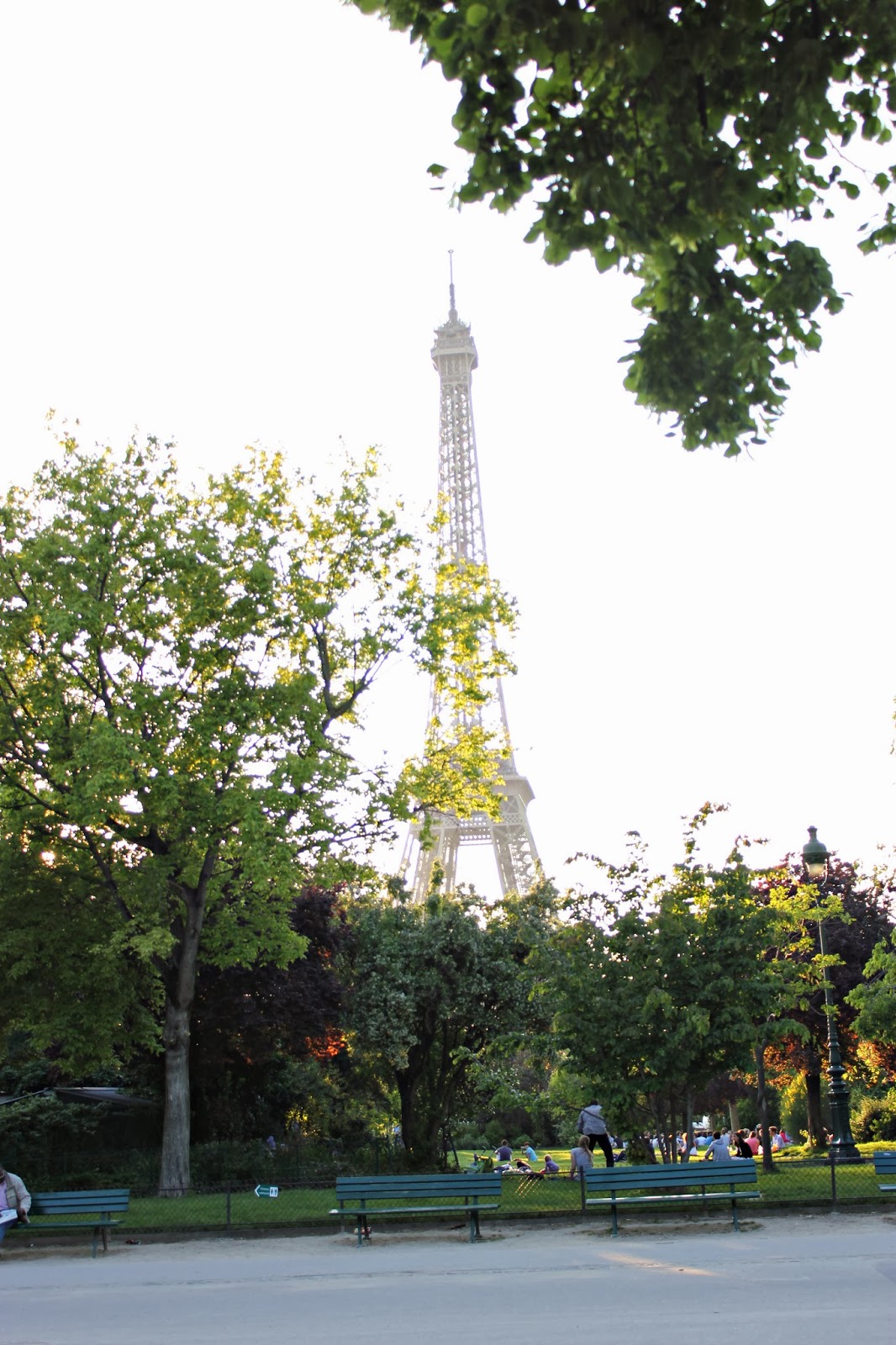 View of the Eiffel Tower from a park bench. 