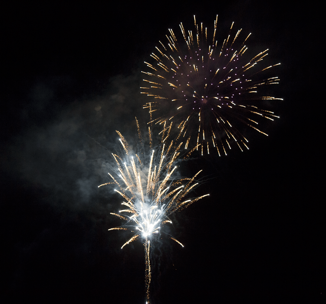 Fireworks against a black sky. 