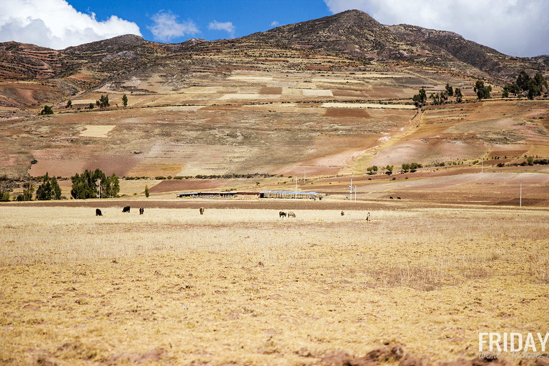 Moray Mountain Biking Through the Andes in Peru. 