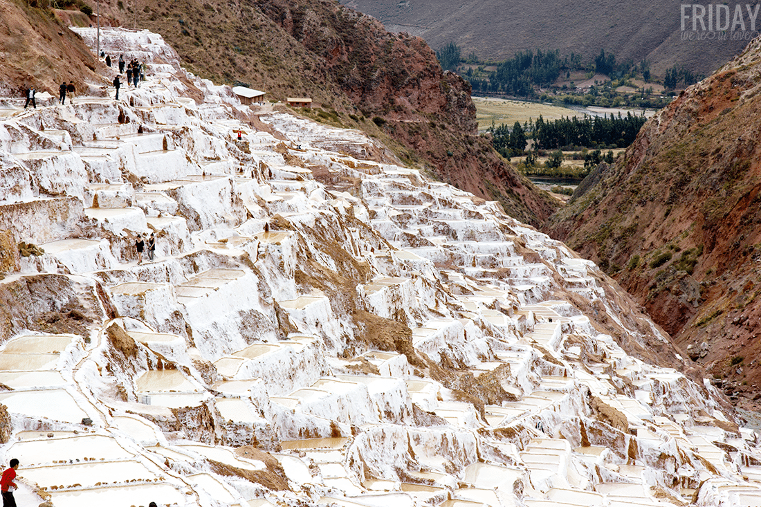 Maras Salt Ponds Peru 