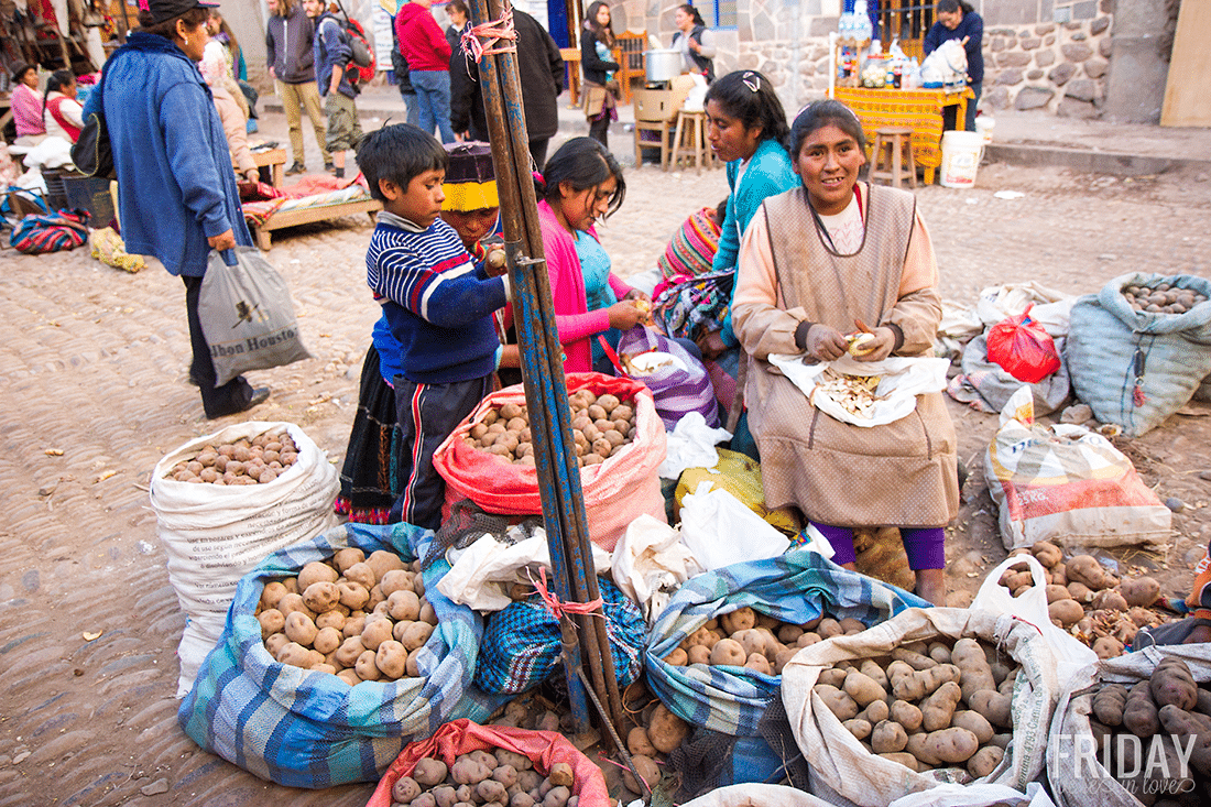 Potato Farmers Peru. 