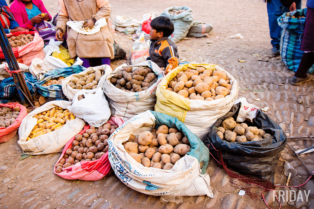 Potato Varieties Peru. 