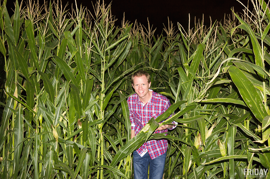 Man finding her way through the corn maze at Schnepf Farms Pumpkin and Chili Fest at nighttime. 