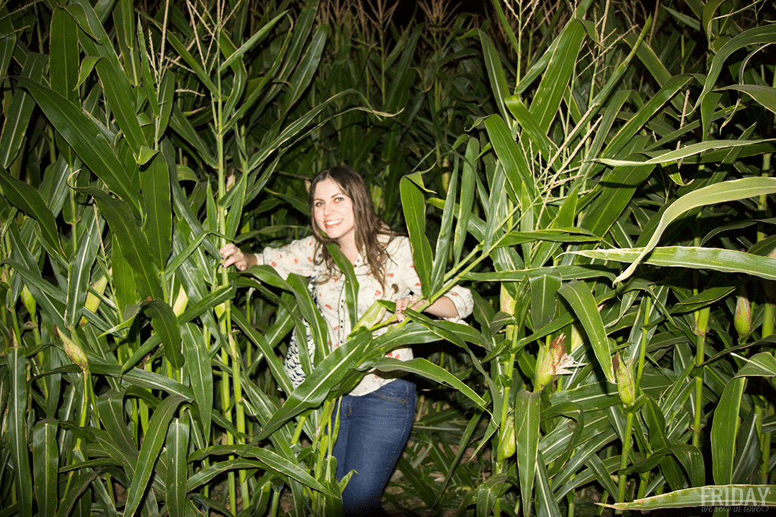 Woman finding her way through the corn maze at Schnepf Farms Pumpkin and Chili Fest at nighttime. 