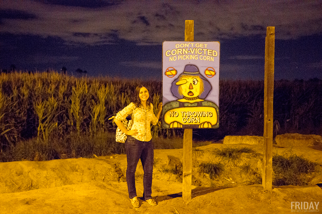 Woman in front of corn maze at Schnepf Farms Pumpkin and Chili Fest at nighttime. 