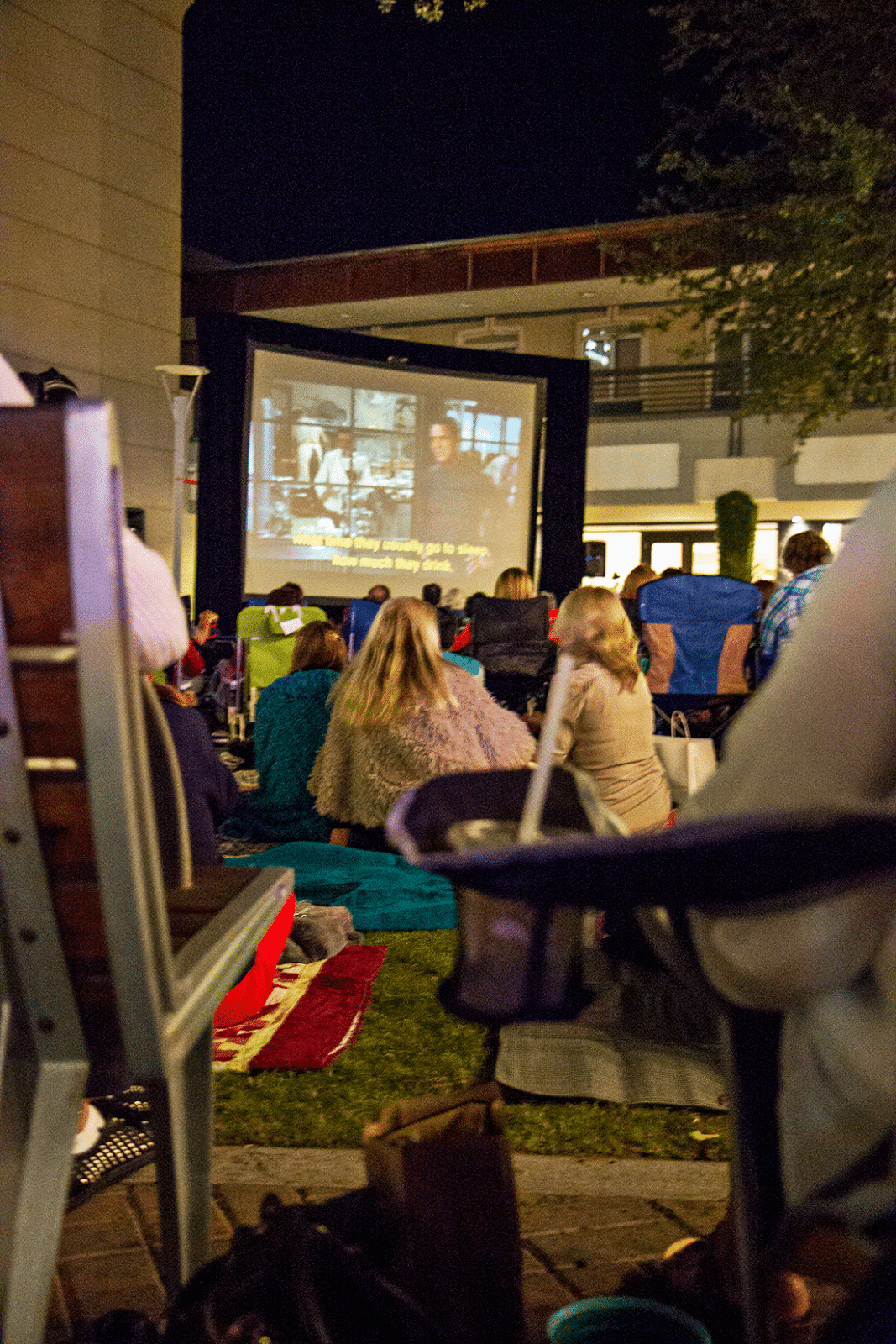 People enjoying Biltmore movies in the park on the grass. 