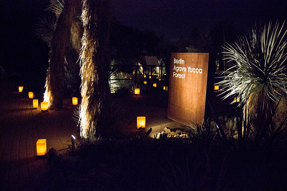 Front of the gates at Las Noches de Las Luminarias at the Desert Botanical Gardens. 