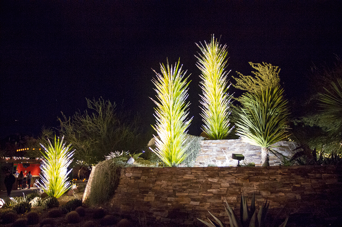Chulily designs at Las Noches de Las Luminarias at the Desert Botanical Gardens. 