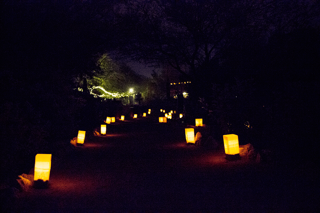 Desert Botanical Garden Phoenix- Luminarias Christmas Festival 