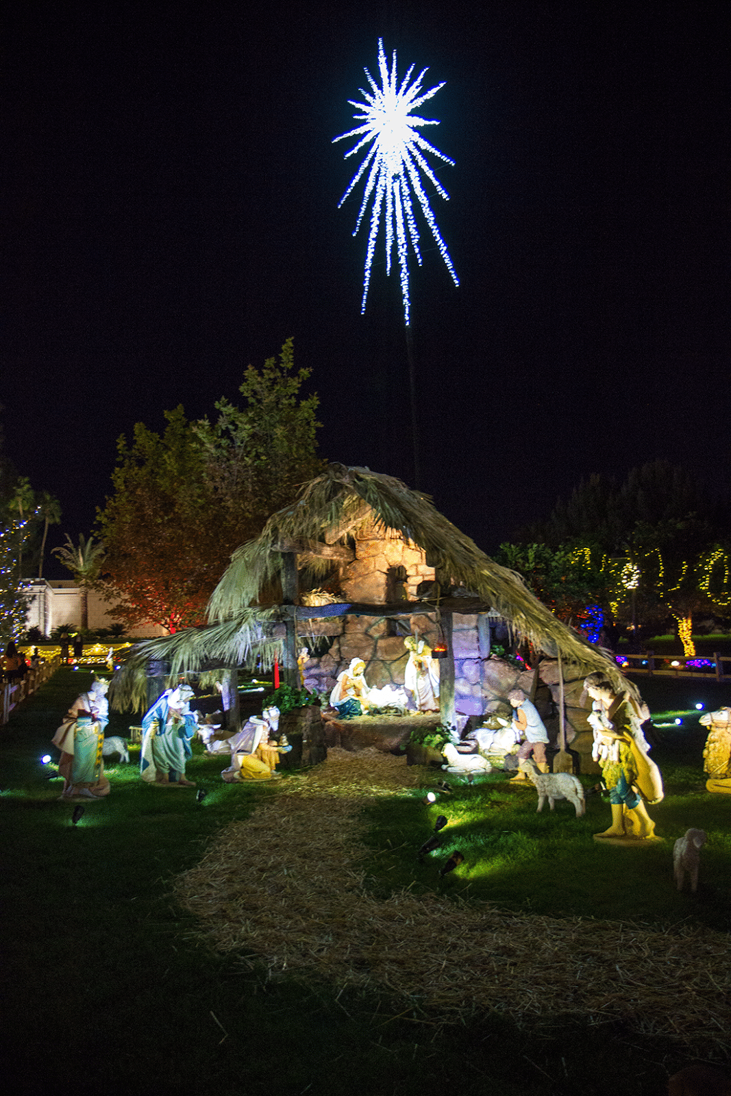 The manger scene at the Mesa Temple light display. 