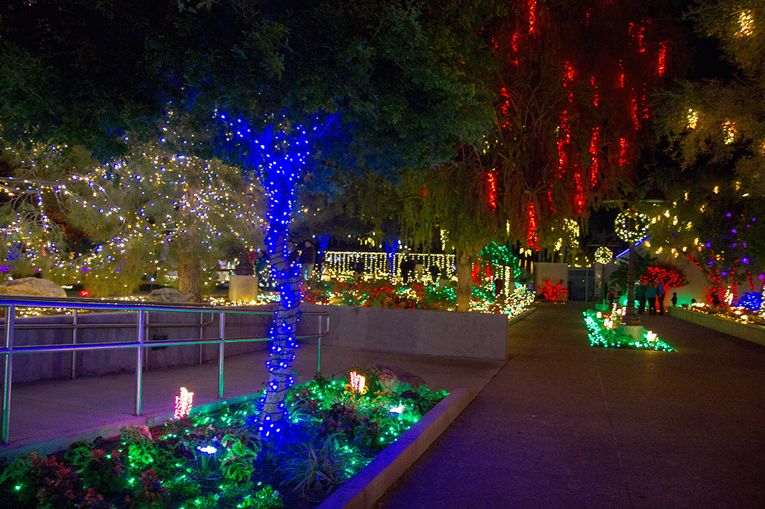 Mesa Arizona Temple lit up for Christmas. 