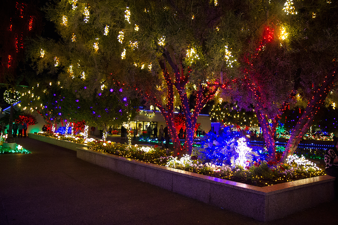 Mesa Temple lights view. 