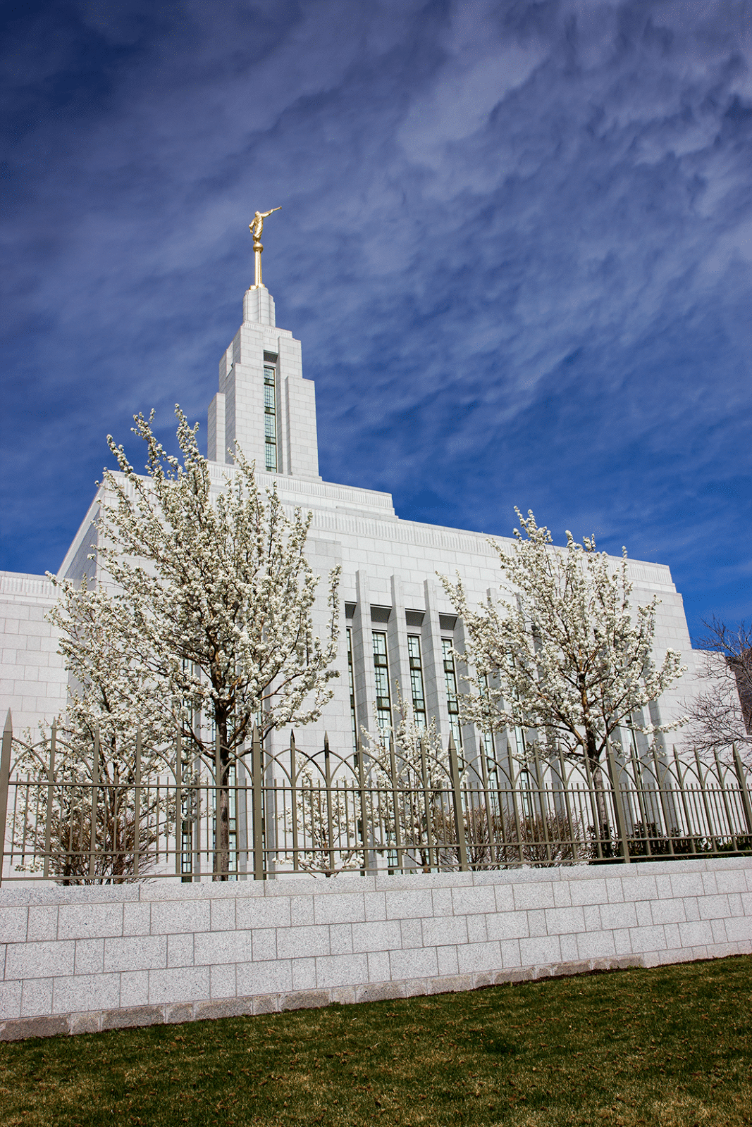 Spring blossoms at the Draper Utah Temple. 