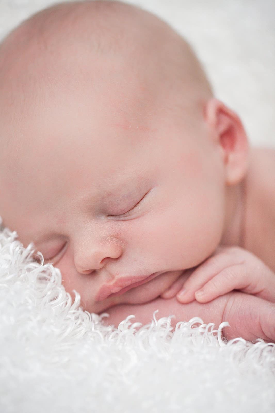 Newborn baby asleep during newborn photoshoot. 