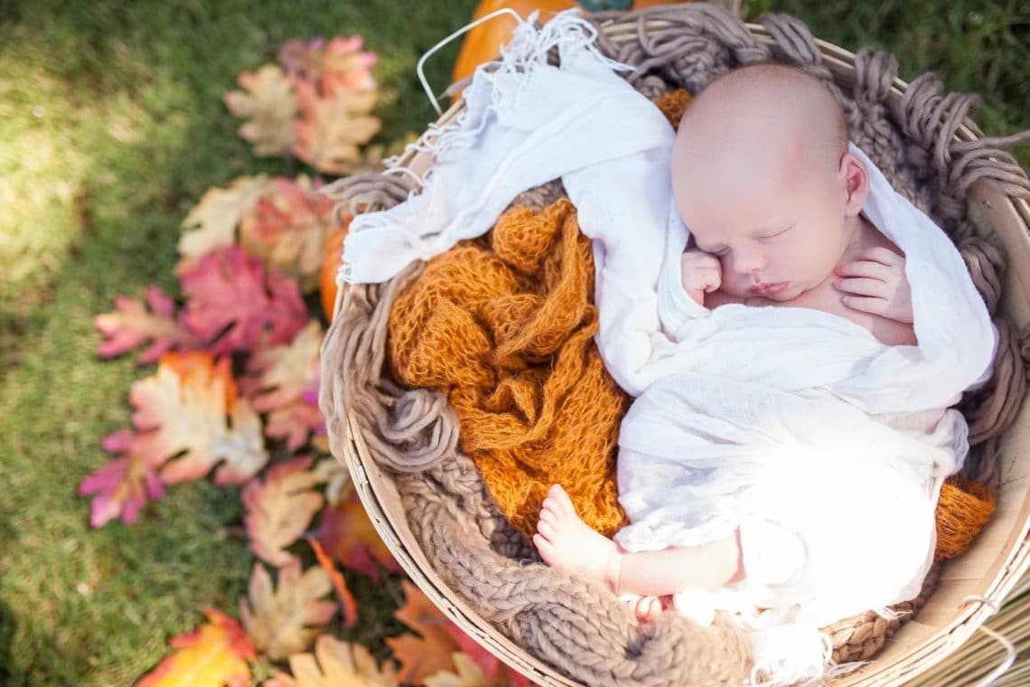 Newborn baby photo shoot: baby swaddled in a basket with fall leaves and pumpkins in the foreground. 