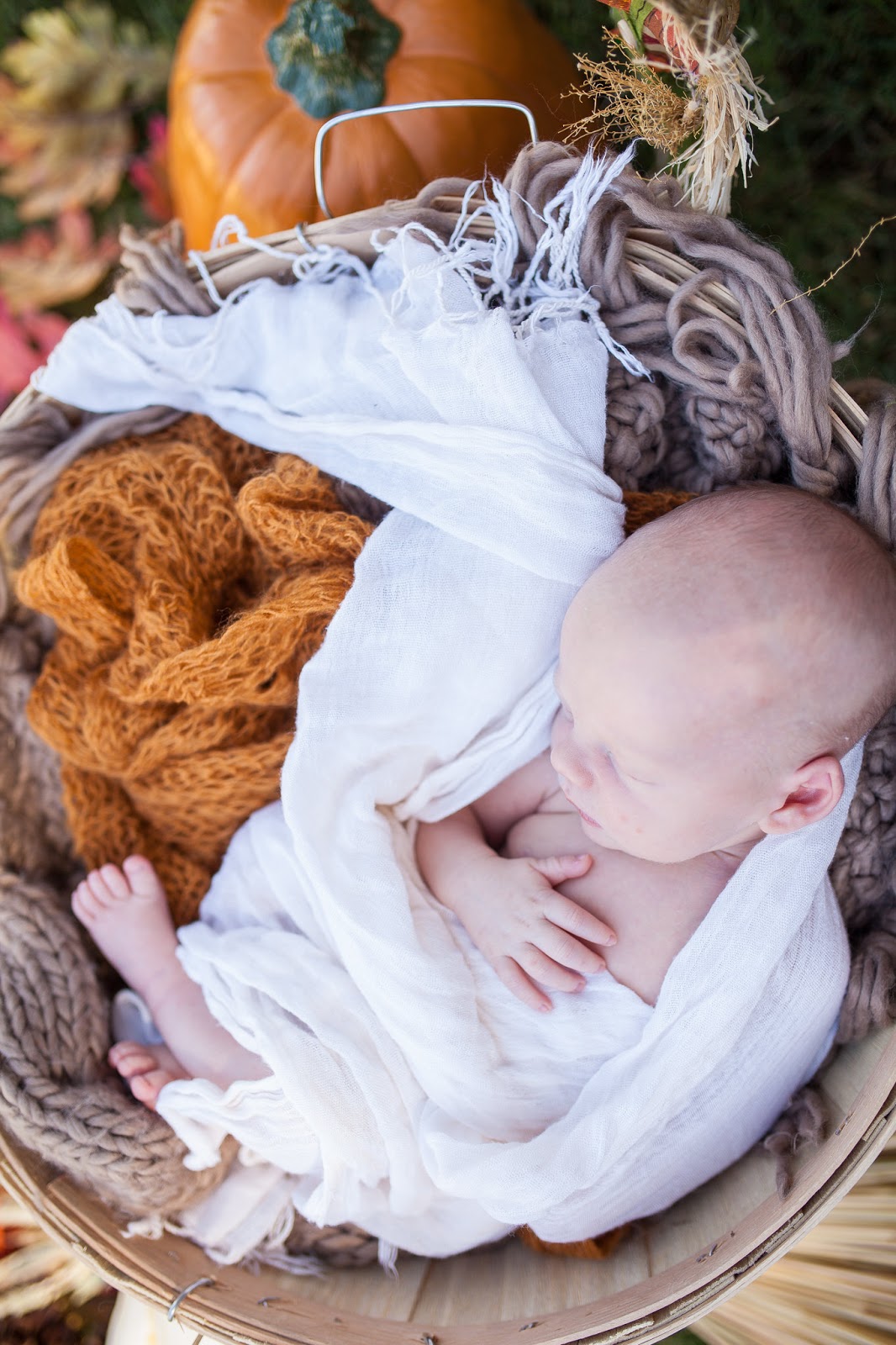 Newborn baby photo shoot ideas: swaddled baby in a basket. 