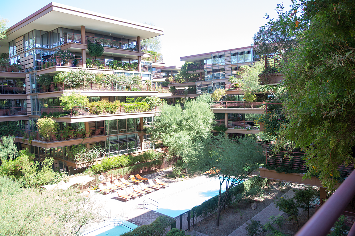 Contemporary condos in Scottsdale. 