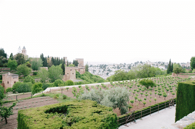 The Gardens at the Alhambra. 