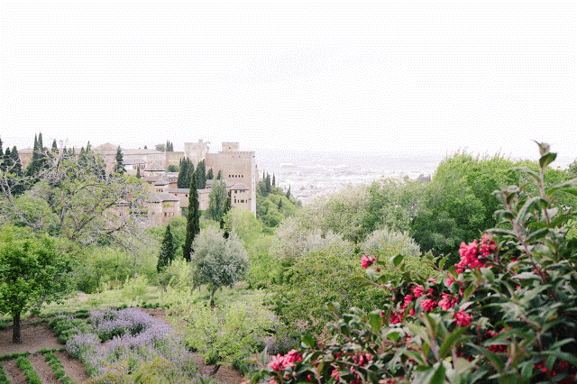 Skyline of The Alhambra. 