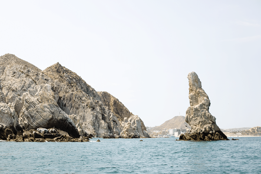 Boat tour in Cabo. 