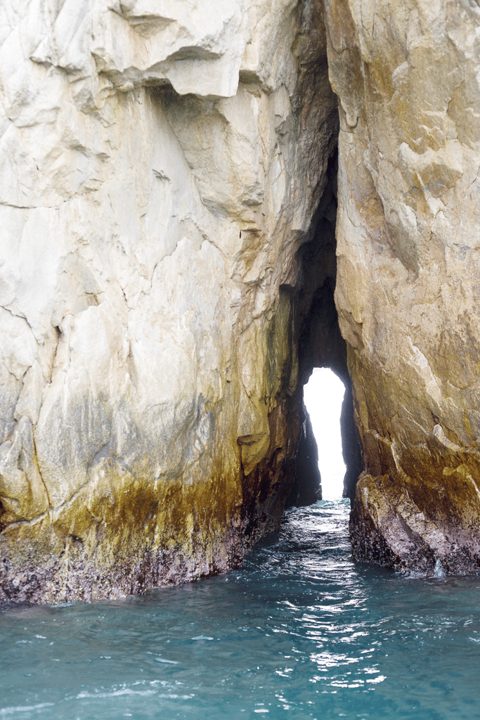 Cabo boat tour. 