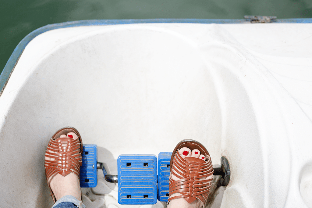 Paddleboat pedals. 