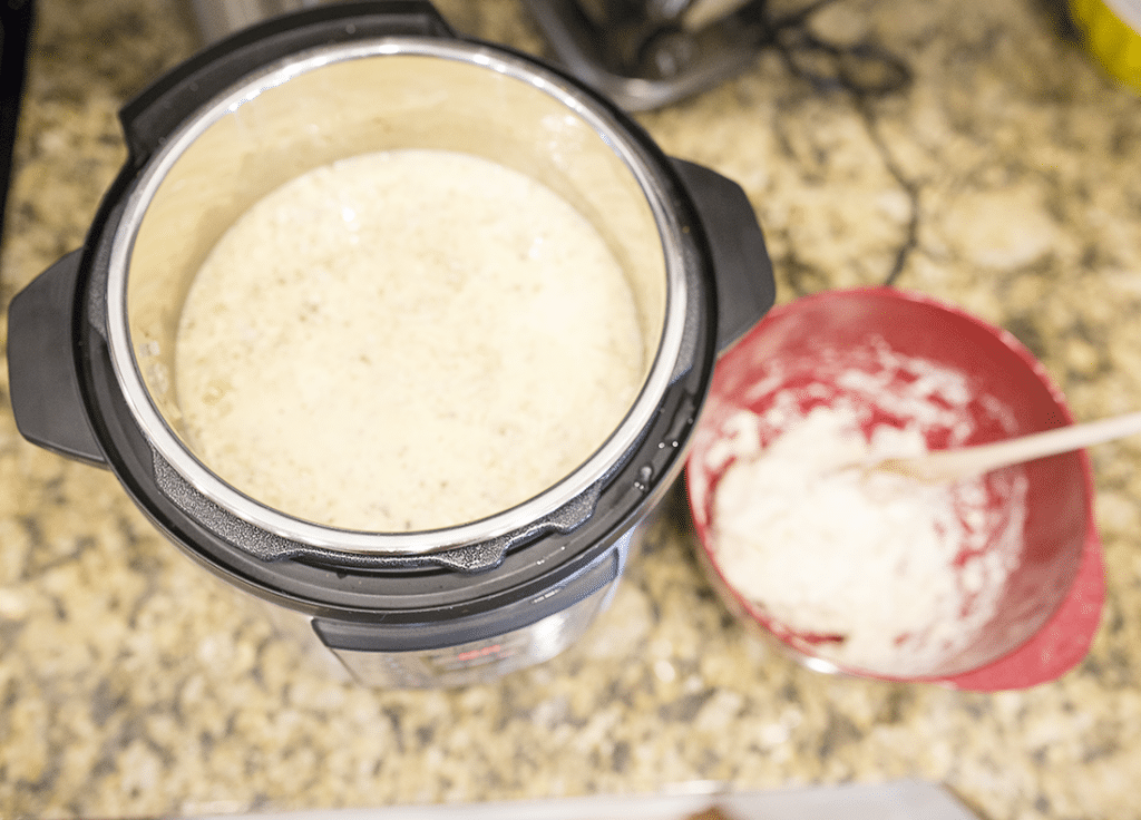 Crock Pot Chicken and Dumplings. 