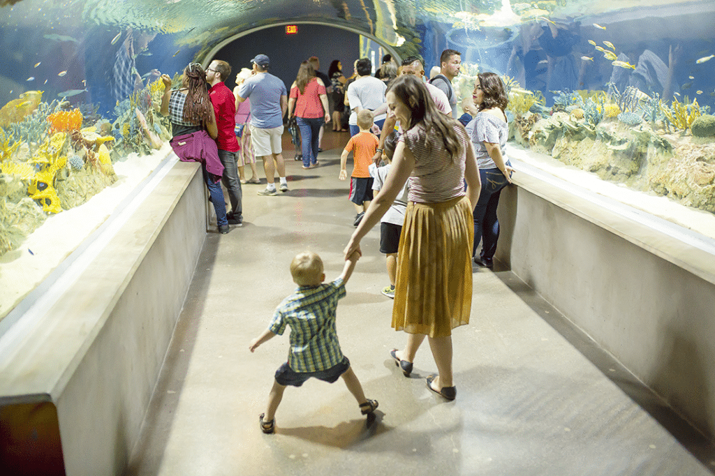 Scottsdale Arizona aquarium. 