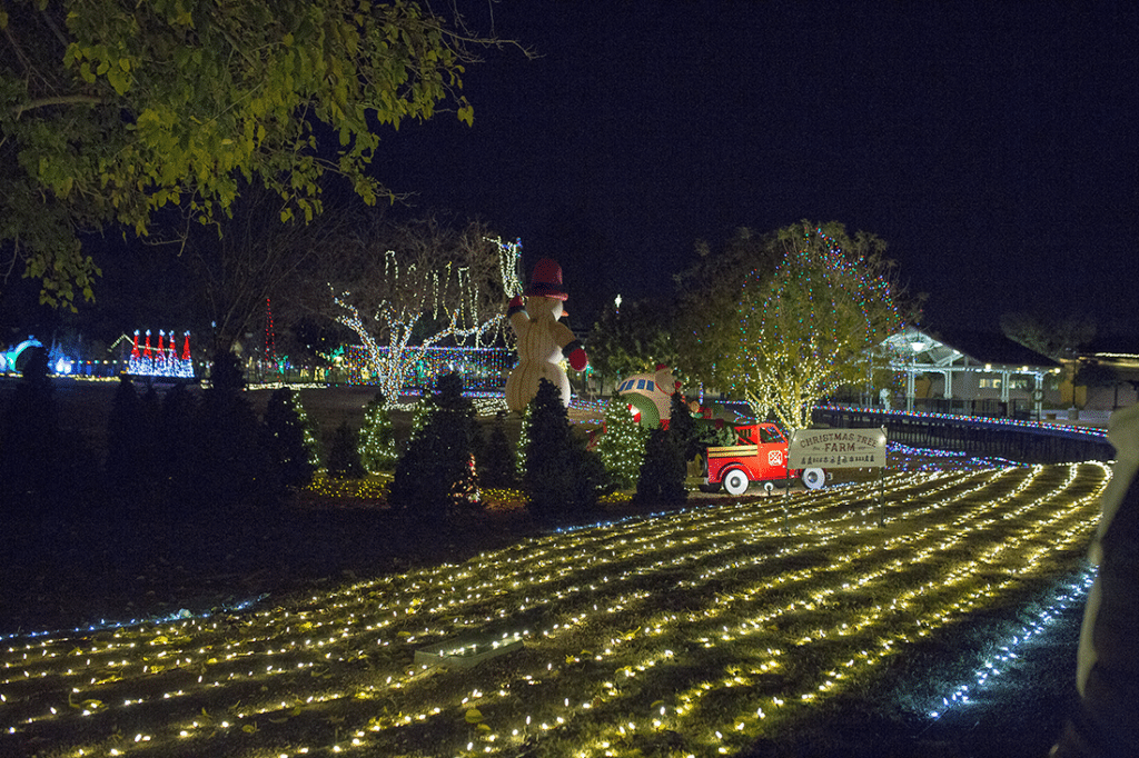 McCormick Stillman Train Park Christmas lights. 