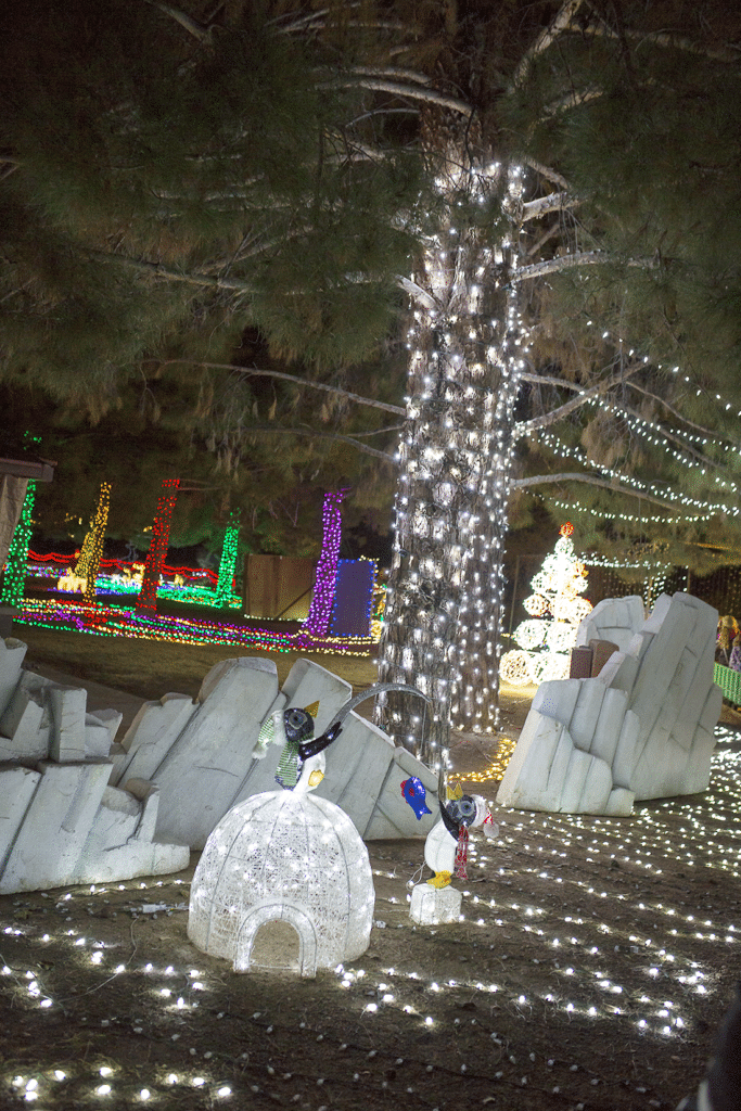 McCormick Stillman Scottsdale Train Park Christmas lights. 