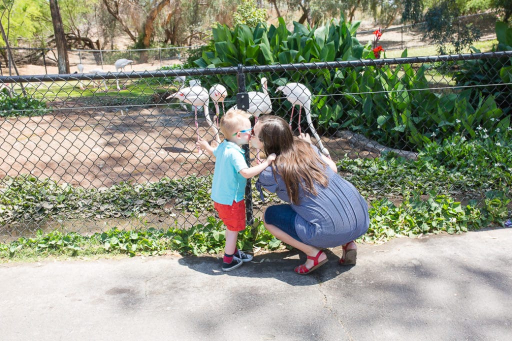 Mom and me activities in Phoenix. 