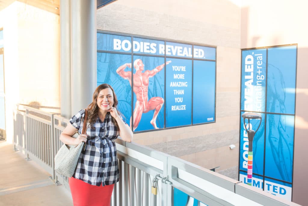 Bodies Revealed Arizona Boardwalk. 