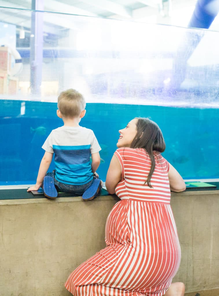 family date to the aquarium with mom and toddler boy looking into shark tank. 
