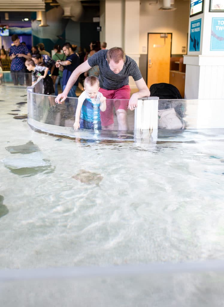 Kids petting sting rays. 