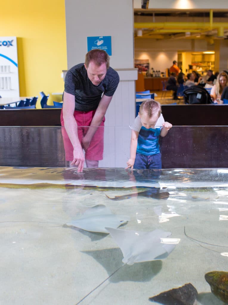 Arizona Boardwalk aquarium. 