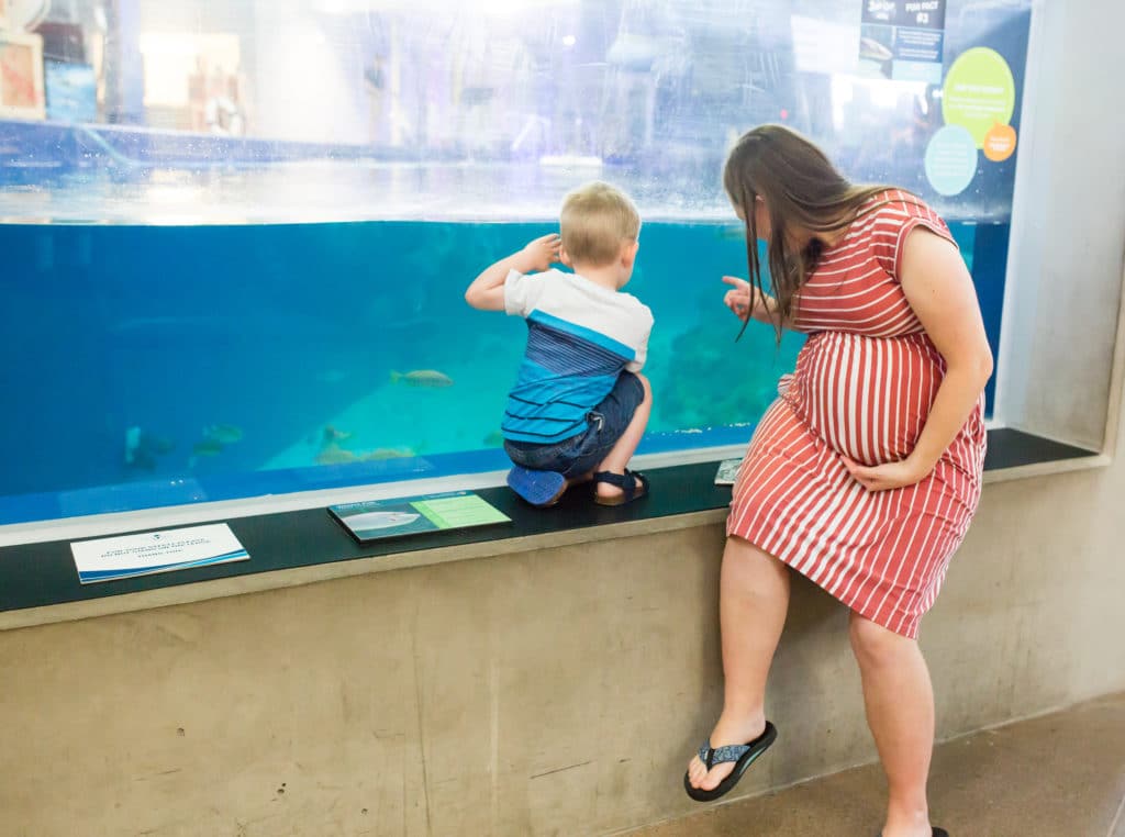 Toddler activities in Phoenix Arizona. 