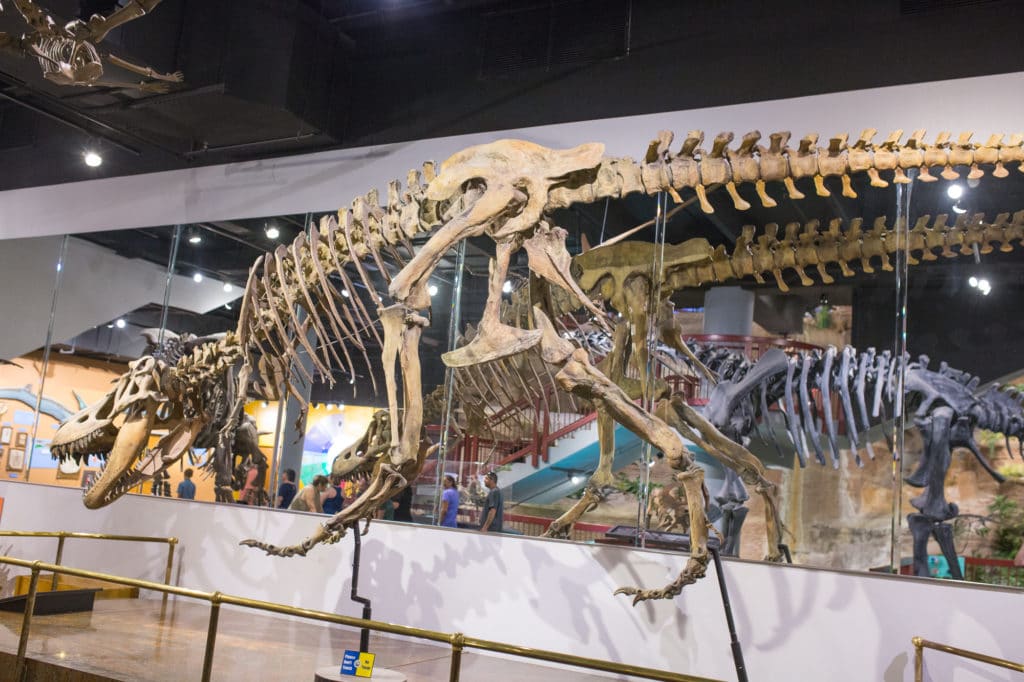 Mesa AZ Dinosaur Museum 