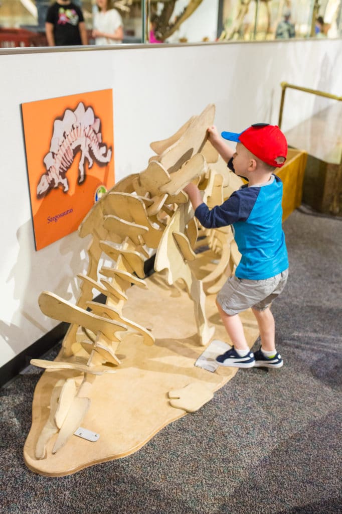 Arizona Museums for Kids