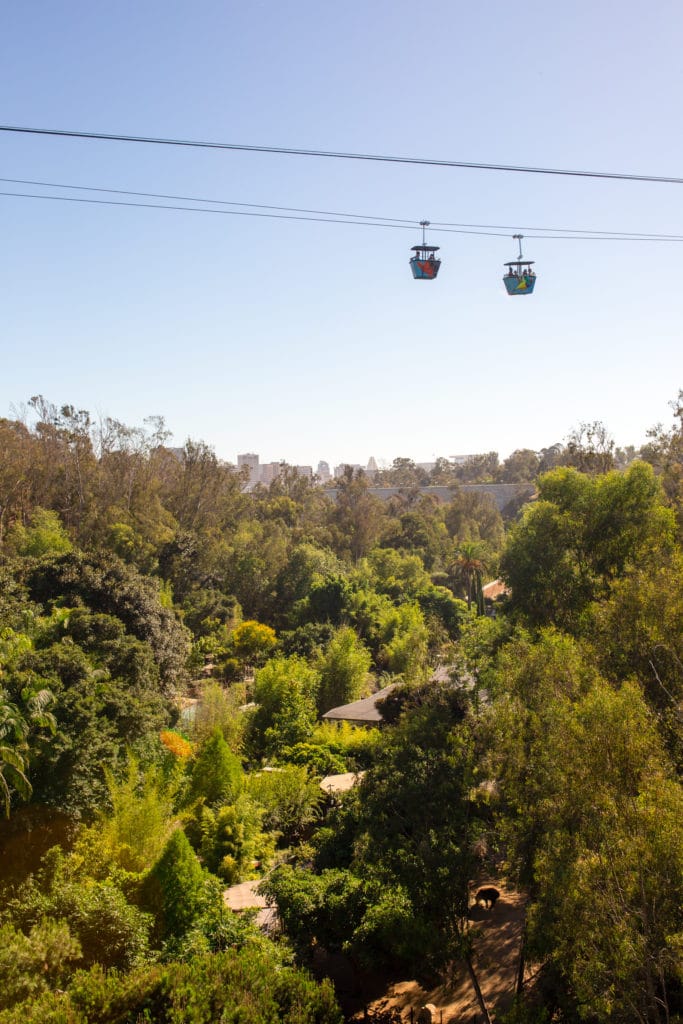 Skyfari sky ride San Diego Zoo