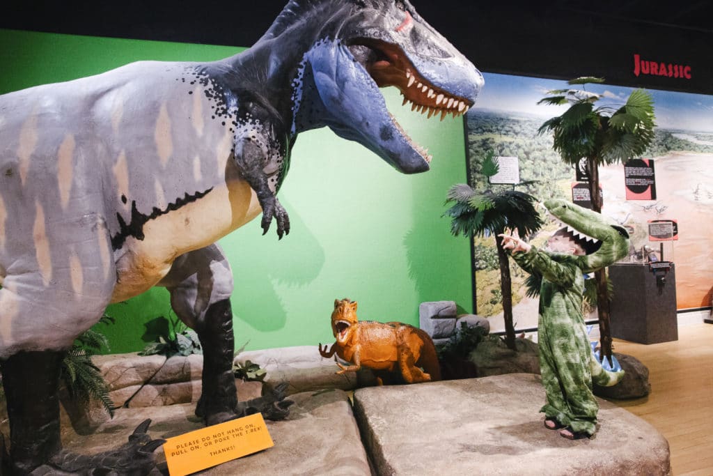 Dinosaur costume for kids. 