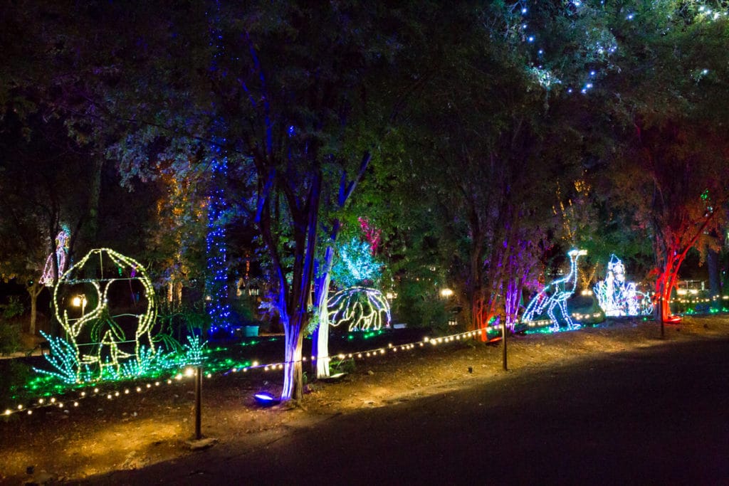 Tips for visiting Zoolights at the Phoenix zoo. 