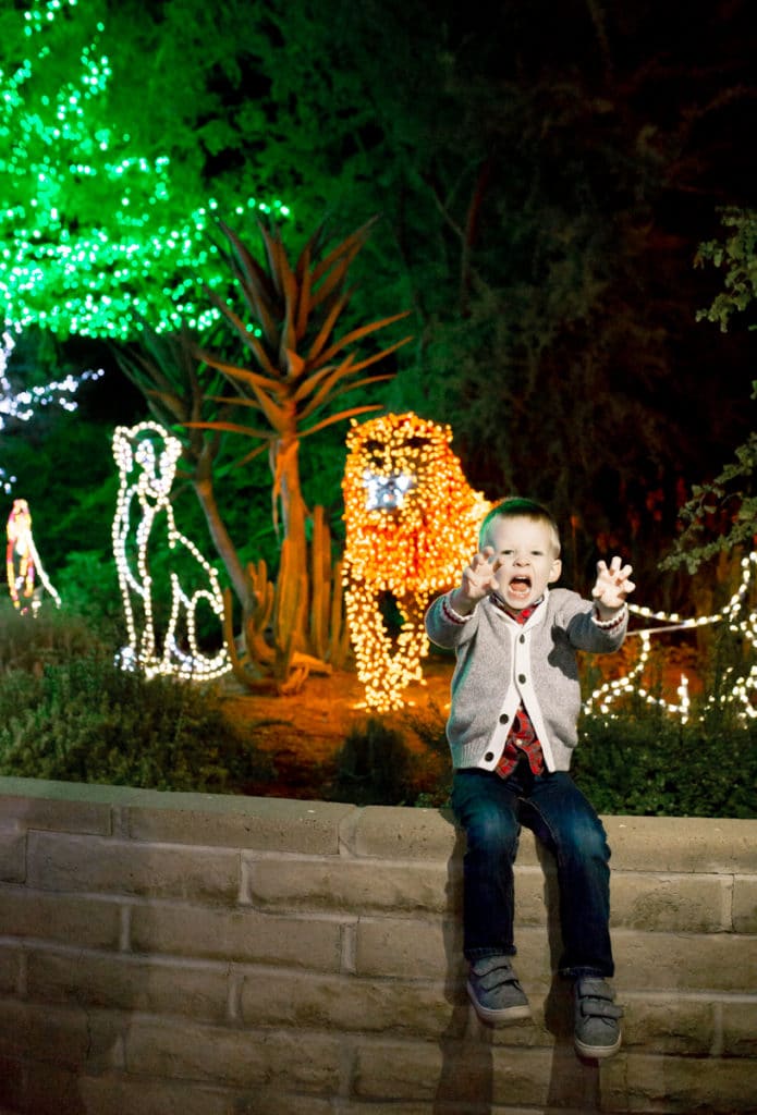 Zoolights in Arizona tips and information. 