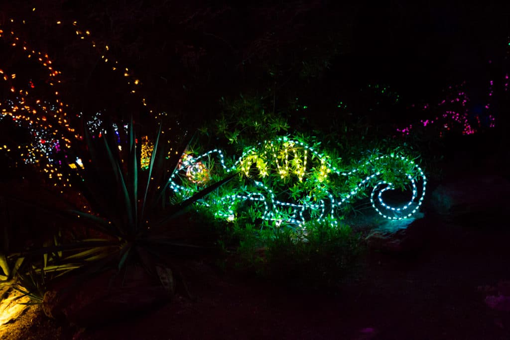 Christmas lights at the Phoenix Zoo. 