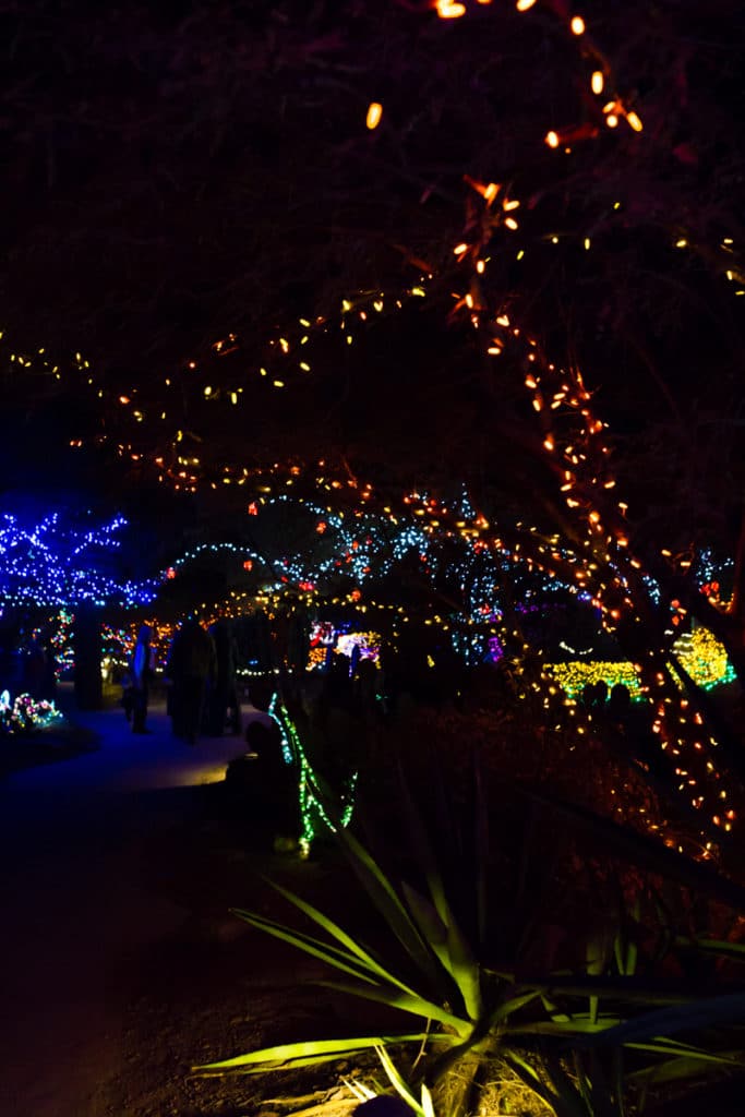 What to expect at Zoolights at the Phoenix zoo. 